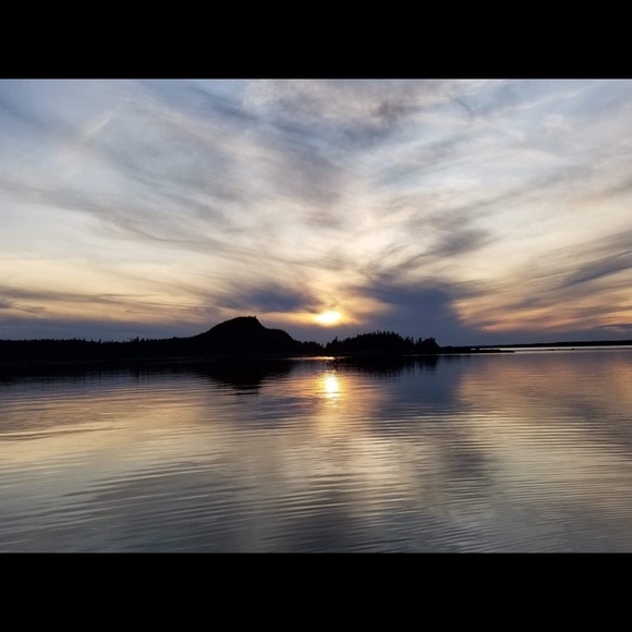 Meet your Posher, Alice - Picture 1 of 1